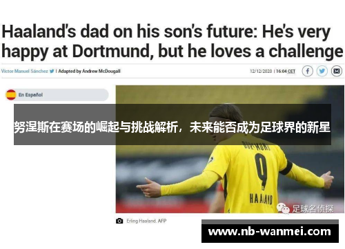 努涅斯在赛场的崛起与挑战解析，未来能否成为足球界的新星